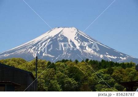初夏の富士 85628787
