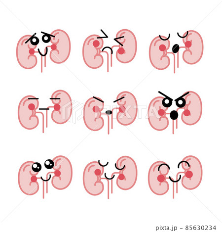 Set of bright human kidneys with cute faces, medical icons isolated on white Set of bright human kidneys with cute faces, medical icons isolated on white 85630234