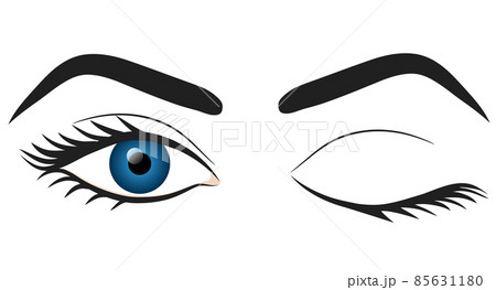 Woman blue eyes hand draw stock vector illustration design Woman blue eyes hand draw stock vector illustration design 85631180