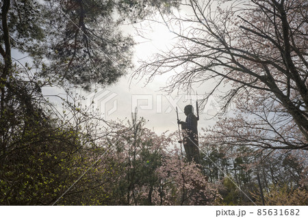 満開の桜並木に立つ子育て地蔵菩薩 85631682