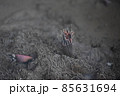 お線香 85631694