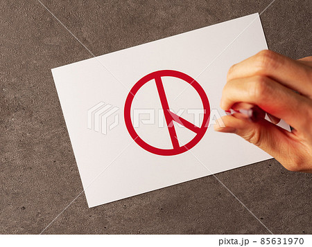 韓国の大統領選イメージ　投票マークを持った女性の手 85631970