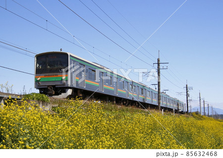 春の宇都宮線205系(宇都宮⇔黒磯:元埼京線車両) 春の宇都宮線205系(宇都宮⇔黒磯:元埼京線車両) 85632468