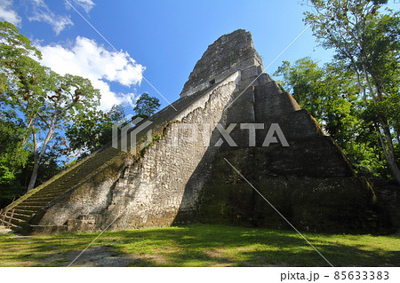 グアテマラ　マヤ文明の遺跡ティカルの五号神殿 85633383