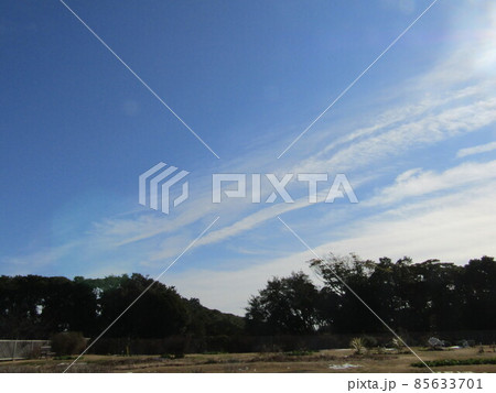 三陽メデアフラワーミュージアムの青い空と白い雲 85633701