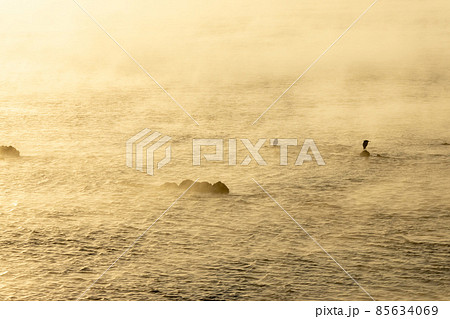 太平洋日向灘に昇る日出で白銀に染まった日南海岸の贄波浜と鳥帽子島に松島と黒島と間に広がる毛嵐 85634069