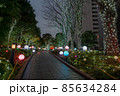 東京都新宿区の繁華街から見た夜の東京の都市景観 85634284
