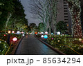 東京都新宿区の繁華街から見た夜の東京の都市景観 85634294