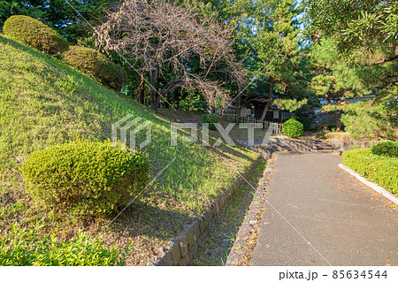 忍城　土塁　伝進修館表門付近　初秋の風景 85634544