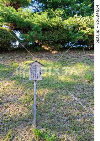 忍城　本丸土塁　伝進修館表門付近　初秋の風景 85634604