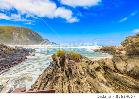 View of the wild ocean in Tsitsikama National Park View of the wild ocean in Tsitsikama National Park 85634657