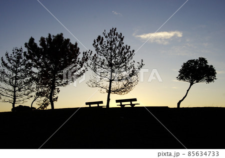 黒潮町「ビオスおおがた」の海岸の夜明けの風景 黒潮町「ビオスおおがた」の海岸の夜明けの風景 85634733