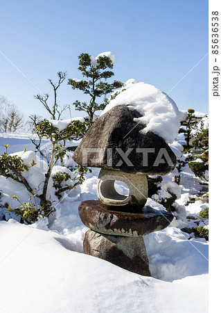 雪景色にたつ庭の石灯籠 雪景色にたつ庭の石灯籠 85636538