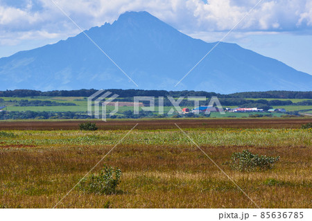 北海道　サロベツ原野からの利尻島 85636785