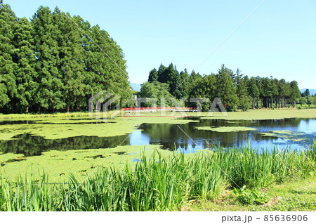 上の原 お松の池 上の原 お松の池 85636906