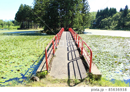 上の原 お松の池 上の原 お松の池 85636938