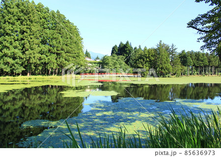 上の原 お松の池 上の原 お松の池 85636973