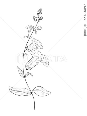 botanical wild flowers line art and garden plants.Hand drawn leaves, pink flowers, herbs and natural elements. For decorations, scrapbooking, cards for birthday, party, baby shower. 85638097