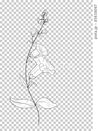 botanical wild flowers line art and garden plants.Hand drawn leaves, pink flowers, herbs and natural elements. For decorations, scrapbooking, cards for birthday, party, baby shower. botanical wild flowers line art and garden plants.Hand drawn leaves, pink flowers, herbs and natural elements. For decorations, scrapbooking, cards for birthday, party, baby shower. 85638097