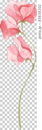 Watercolor botanical wild flowers and garden plants. Hand drawn leaves, pink flowers, herbs and natural elements. For decorations, scrapbooking, cards for birthday, party, baby shower. Watercolor botanical wild flowers and garden plants. Hand drawn leaves, pink flowers, herbs and natural elements. For decorations, scrapbooking, cards for birthday, party, baby shower. 85638102