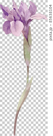 Watercolor botanical wild flowers and garden plants. Hand drawn leaves, pink flowers, herbs and natural elements. For decorations, scrapbooking, cards for birthday, party, baby shower. Watercolor botanical wild flowers and garden plants. Hand drawn leaves, pink flowers, herbs and natural elements. For decorations, scrapbooking, cards for birthday, party, baby shower. 85638104