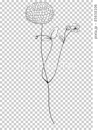 botanical wild flowers line art and garden plants.Hand drawn leaves, pink flowers, herbs and natural elements. For decorations, scrapbooking, cards for birthday, party, baby shower. botanical wild flowers line art and garden plants.Hand drawn leaves, pink flowers, herbs and natural elements. For decorations, scrapbooking, cards for birthday, party, baby shower. 85638106