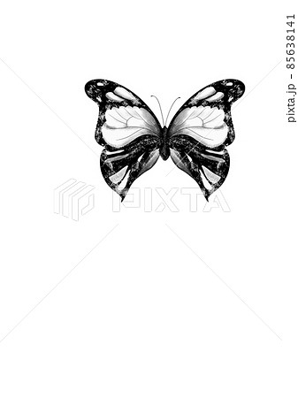 hand-drawn butterfly sketch, top view, isolated black outline randomly arranged on white Retro line art pattern with black butterfly pattern sketch on white background 85638141