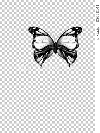 hand-drawn butterfly sketch, top view, isolated black outline randomly arranged on white Retro line art pattern with black butterfly pattern sketch on white background 85638141