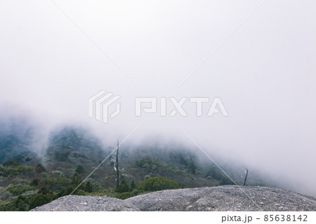 冬の屋久島の風景(ジブリ・もののけ姫の舞台)~九州の世界自然遺産~ 85638142
