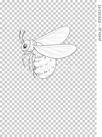 Bee line icon illustration. Graphic logo of insect, simple doodle emblem. Hand drawn honeybee isolated on white background. Bee line icon illustration. Graphic logo of insect, simple doodle emblem. Hand drawn honeybee isolated on white background. 85638145