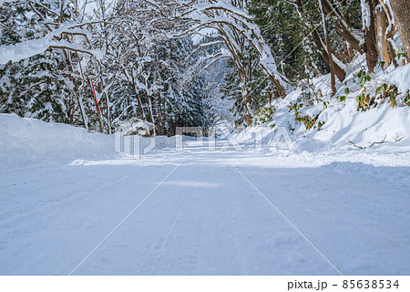 【圧雪路】雪のトンネル【北安曇郡小谷村】 85638534