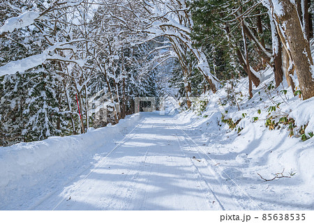 【圧雪路】雪のトンネル【北安曇郡小谷村】 【圧雪路】雪のトンネル【北安曇郡小谷村】 85638535