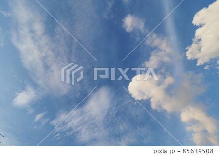 夏空に浮かぶさまざまな形をしたおもしろい雲 夏空に浮かぶさまざまな形をしたおもしろい雲 85639508