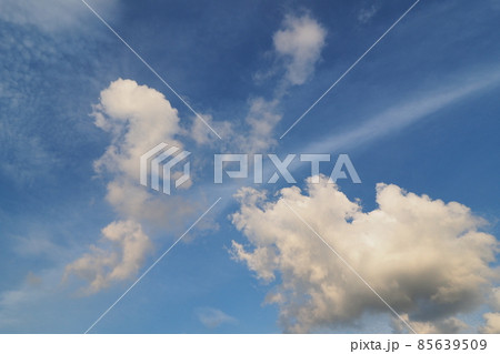 夏空に浮かぶさまざまな形をしたおもしろい雲 夏空に浮かぶさまざまな形をしたおもしろい雲 85639509