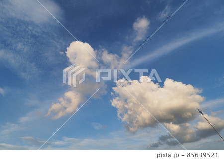 夏空に浮かぶさまざまな形をしたおもしろい雲 夏空に浮かぶさまざまな形をしたおもしろい雲 85639521