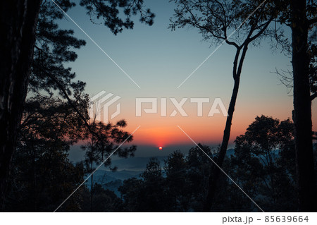 early morning sunrise in the forest 85639664