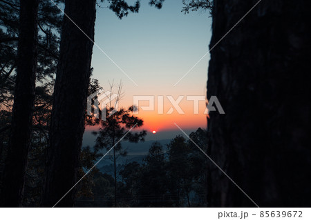 early morning sunrise in the forest early morning sunrise in the forest 85639672