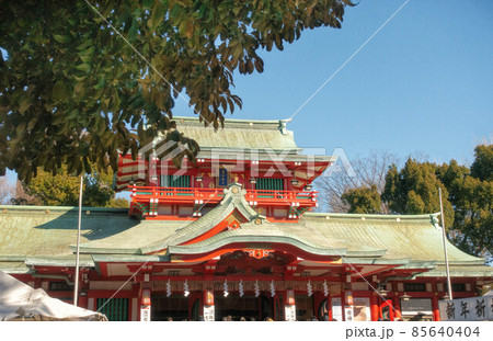 東京、富岡八幡宮の本殿 東京、富岡八幡宮の本殿 85640404