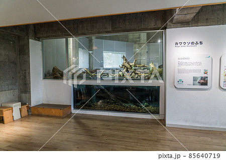 アクアマリンいなわしろカワセミ水族館 カワウソのふち アクアマリンいなわしろカワセミ水族館 カワウソのふち 85640719