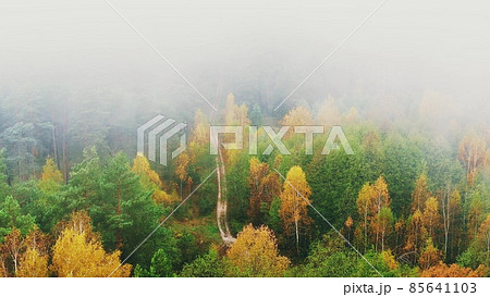 Aerial View 4K Flight Above Amazing Misty Forest Landscape. Scenic View Of Autumn Foggy Morning In Misty Forest Park Woods. Nature Elevated View 85641103