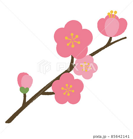 桃の花 桃の花 85642141
