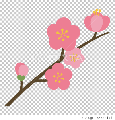 桃花 桃花 85642141