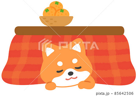 こたつで寛ぐ柴犬 85642506