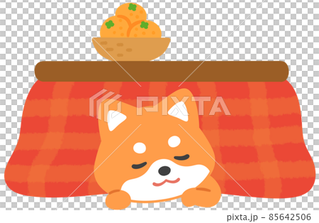 こたつで寛ぐ柴犬 85642506