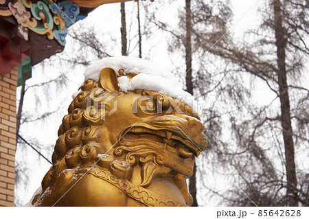 Tibetan temple sculpture. Buddhism. Religion. Golden Lion Tibetan temple sculpture. Buddhism. Religion. Golden Lion 85642628