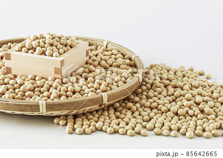 大豆 ダイズ 大豆 ダイズ 85642665