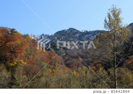 白山登山口・別当出合の紅葉と雪化粧の山並み(石川県白山市) 白山登山口・別当出合の紅葉と雪化粧の山並み(石川県白山市) 85642894