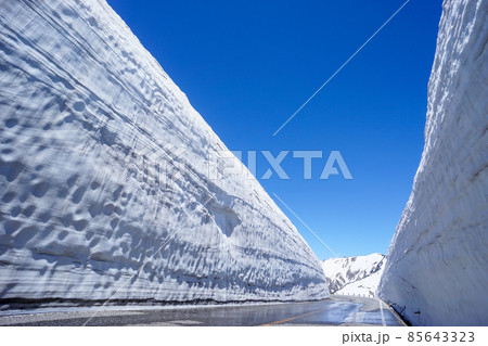 立山黒部アルペンルート 雪の大谷 立山黒部アルペンルート 雪の大谷 85643323