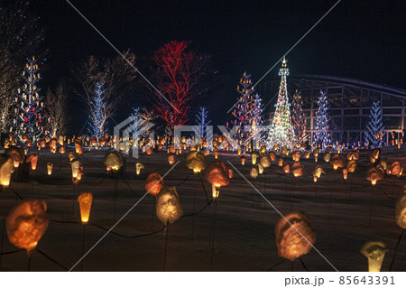 音と光のファンタジア 音と光のファンタジア 85643391