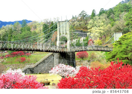 桃介橋 桃介橋 85643708